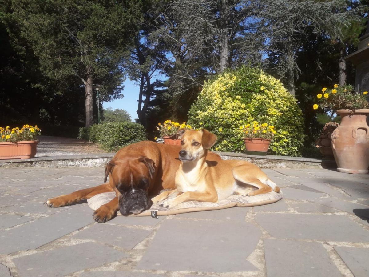 Casal Ponziani Per Civita E Dintorni Villa Bagnoregio Kültér fotó